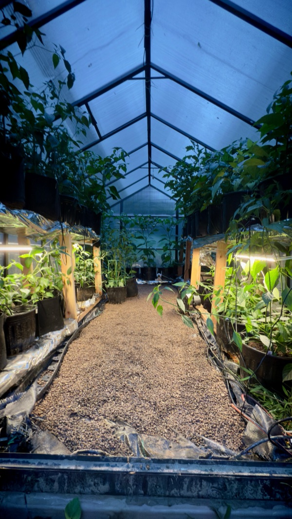 Greenhouse interior