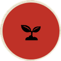 Seed and soil icon